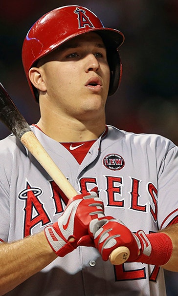 Searching for the Face of Baseball